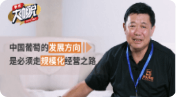 中国通常的发展方向 是必须走规；