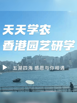 与香港园艺学会结合进行香港园艺研学，专业园境师带队解说。