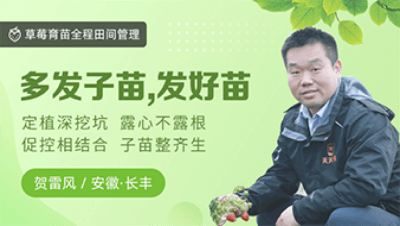 多发子苗，发好苗